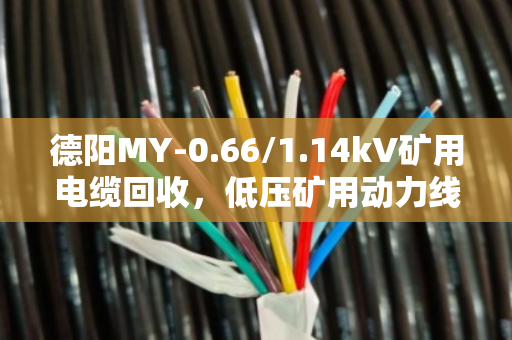 德阳MY-0.66/1.14kV矿用电缆回收,低压矿用动力线泊祎回收帮您省心变现 德阳MY-0.66/1.14kV矿用电缆回收,低压矿用动力线泊祎回收帮您省心变现