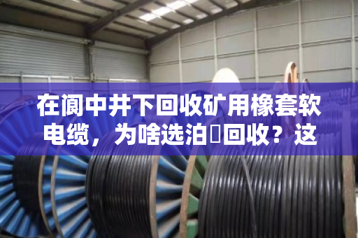 在阆中井下回收矿用橡套软电缆,为啥选泊祎回收?这些硬道理你得懂 在阆中井下回收矿用橡套软电缆,为啥选泊祎回收?这些硬道理你得懂