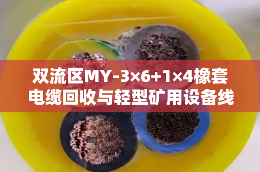 双流区MY-3×6+1×4橡套电缆回收与轻型矿用设备线处置全攻略 双流区MY-3×6+1×4橡套电缆回收与轻型矿用设备线处置全攻略