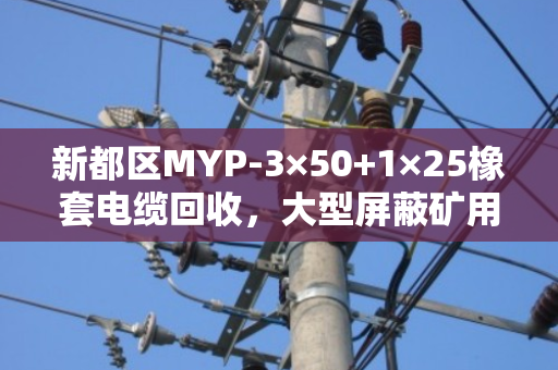 新都区MYP-3×50+1×25橡套电缆回收,大型屏蔽矿用线怎么卖更划算?泊祎回收给您算明白 新都区MYP-3×50+1×25橡套电缆回收,大型屏蔽矿用线怎么卖更划算?泊祎回收给您算明白