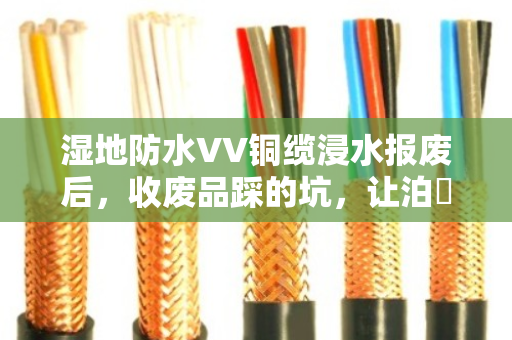 湿地防水VV铜缆浸水报废后,收废品踩的坑,让泊祎回收帮你填平 湿地防水VV铜缆浸水报废后,收废品踩的坑,让泊祎回收帮你填平