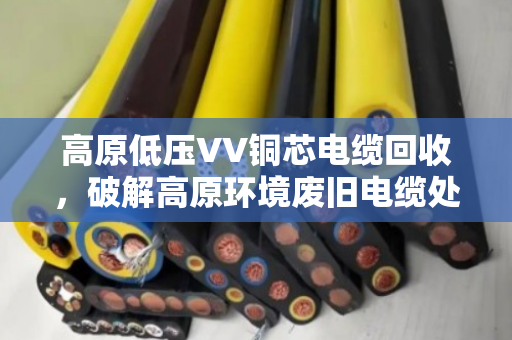 高原低压VV铜芯电缆回收，破解高原环境废旧电缆处理难题