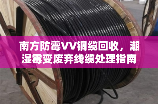 南方防霉VV铜缆回收,潮湿霉变废弃线缆处理指南 南方防霉VV铜缆回收,潮湿霉变废弃线缆处理指南