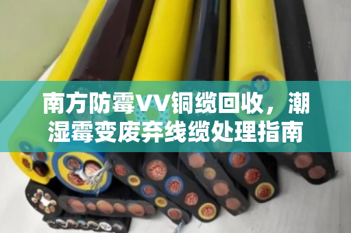 南方防霉VV铜缆回收,潮湿霉变废弃线缆处理指南 南方防霉VV铜缆回收,潮湿霉变废弃线缆处理指南