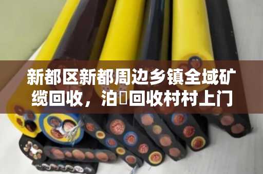 新都区新都周边乡镇全域矿缆回收,泊祎回收村村上门破解废旧缆线处理难题 新都区新都周边乡镇全域矿缆回收,泊祎回收村村上门破解废旧缆线处理难题