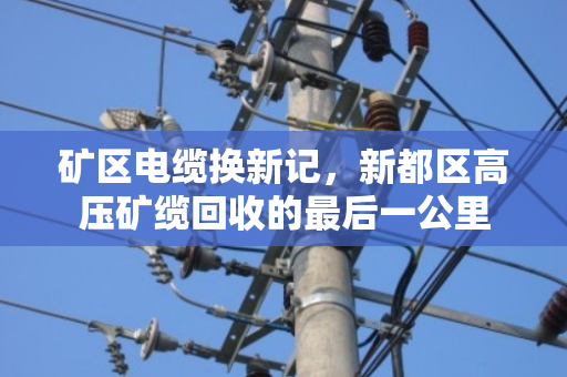 矿区电缆换新记,新都区高压矿缆回收的最后一公里 矿区电缆换新记,新都区高压矿缆回收的最后一公里