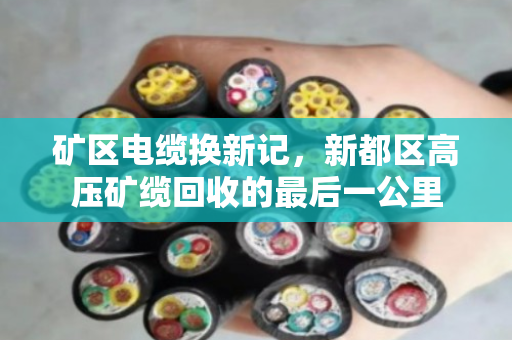矿区电缆换新记，新都区高压矿缆回收的最后一公里