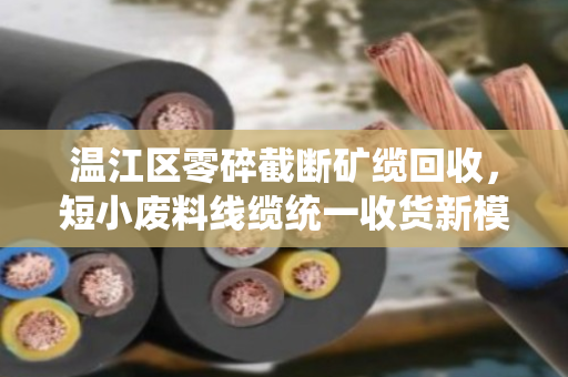 温江区零碎截断矿缆回收,短小废料线缆统一收货新模式 温江区零碎截断矿缆回收,短小废料线缆统一收货新模式