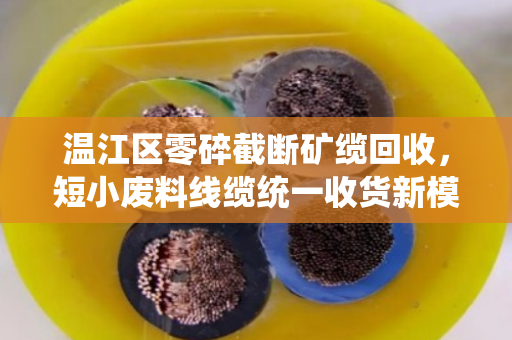 温江区零碎截断矿缆回收,短小废料线缆统一收货新模式 温江区零碎截断矿缆回收,短小废料线缆统一收货新模式