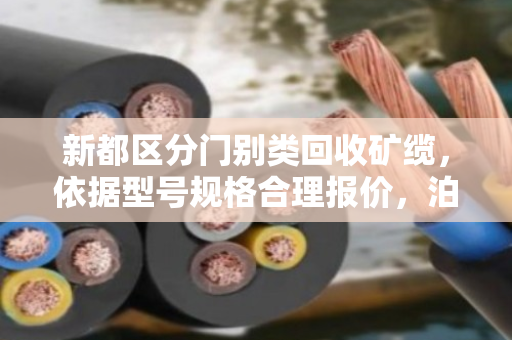 新都区分门别类回收矿缆,依据型号规格合理报价,泊祎回收让每根电缆物尽其用 新都区分门别类回收矿缆,依据型号规格合理报价,泊祎回收让每根电缆物尽其用