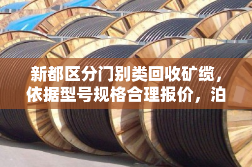 新都区分门别类回收矿缆,依据型号规格合理报价,泊祎回收让每根电缆物尽其用 新都区分门别类回收矿缆,依据型号规格合理报价,泊祎回收让每根电缆物尽其用