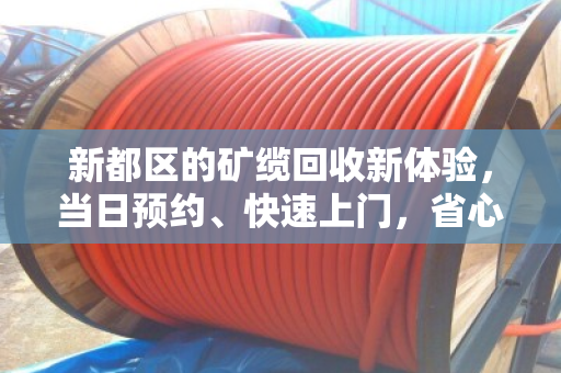 新都区的矿缆回收新体验,当日预约、快速上门,省心又高效 新都区的矿缆回收新体验,当日预约、快速上门,省心又高效
