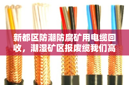 新都区防潮防腐矿用电缆回收,潮湿矿区报废缆我们高价收货 新都区防潮防腐矿用电缆回收,潮湿矿区报废缆我们高价收货