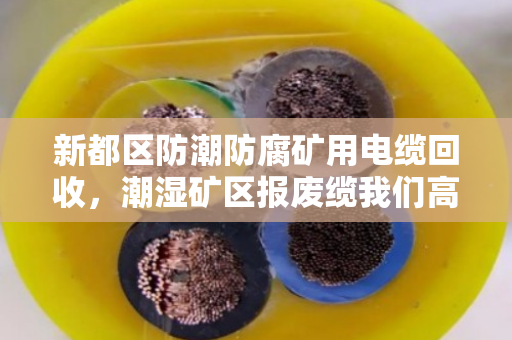 新都区防潮防腐矿用电缆回收,潮湿矿区报废缆我们高价收货 新都区防潮防腐矿用电缆回收,潮湿矿区报废缆我们高价收货
