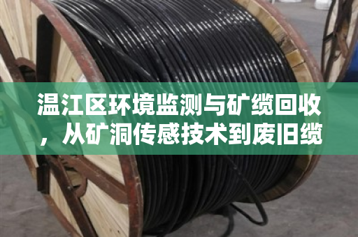 温江区环境监测与矿缆回收,从矿洞传感技术到废旧缆线的绿色转型 温江区环境监测与矿缆回收,从矿洞传感技术到废旧缆线的绿色转型