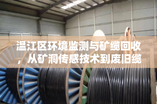 温江区环境监测与矿缆回收,从矿洞传感技术到废旧缆线的绿色转型 温江区环境监测与矿缆回收,从矿洞传感技术到废旧缆线的绿色转型