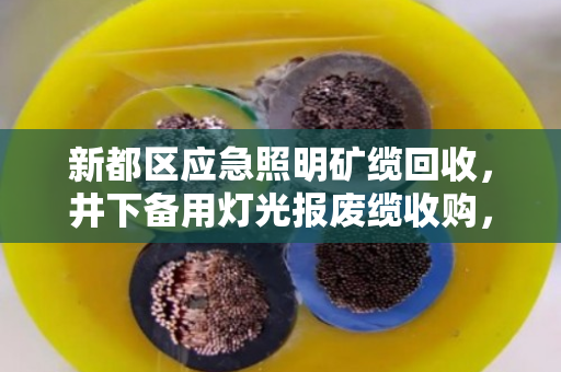 新都区应急照明矿缆回收,井下备用灯光报废缆收购,泊祎回收助力矿山安全与环保双赢 新都区应急照明矿缆回收,井下备用灯光报废缆收购,泊祎回收助力矿山安全与环保双赢