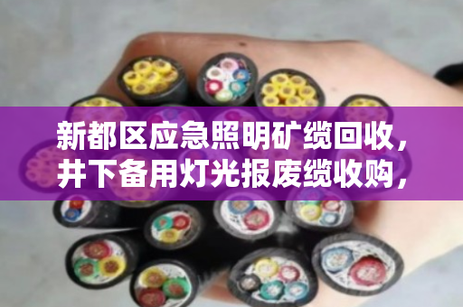 新都区应急照明矿缆回收，井下备用灯光报废缆收购，泊祎回收助力矿山安全与环保双赢