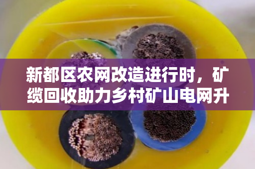 新都区农网改造进行时,矿缆回收助力乡村矿山电网升级 新都区农网改造进行时,矿缆回收助力乡村矿山电网升级