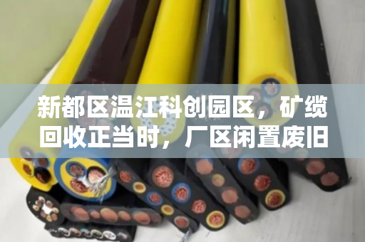 新都区温江科创园区,矿缆回收正当时,厂区闲置废旧缆迎来新生机 新都区温江科创园区,矿缆回收正当时,厂区闲置废旧缆迎来新生机