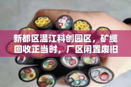 新都区温江科创园区，矿缆回收正当时，厂区闲置废旧缆迎来新生机