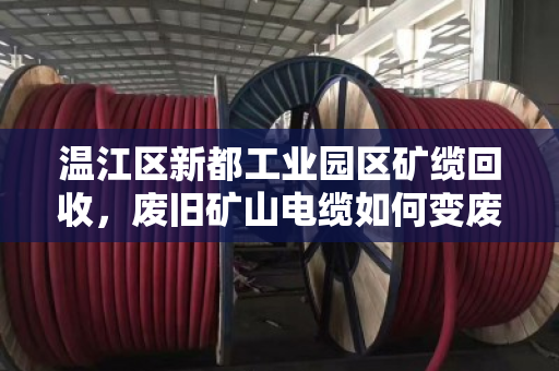 温江区新都工业园区矿缆回收,废旧矿山电缆如何变废为宝?泊祎回收给出答案 温江区新都工业园区矿缆回收,废旧矿山电缆如何变废为宝?泊祎回收给出答案