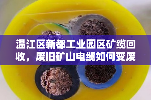 温江区新都工业园区矿缆回收,废旧矿山电缆如何变废为宝?泊祎回收给出答案 温江区新都工业园区矿缆回收,废旧矿山电缆如何变废为宝?泊祎回收给出答案