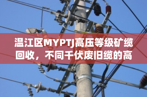 温江区MYPTJ高压等级矿缆回收,不同千伏废旧缆的高效变现指南 温江区MYPTJ高压等级矿缆回收,不同千伏废旧缆的高效变现指南