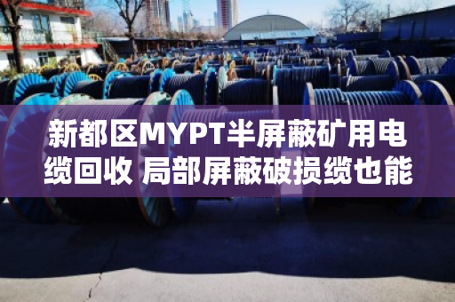 新都区MYPT半屏蔽矿用电缆回收 局部屏蔽破损缆也能高价卖 新都区MYPT半屏蔽矿用电缆回收 局部屏蔽破损缆也能高价卖
