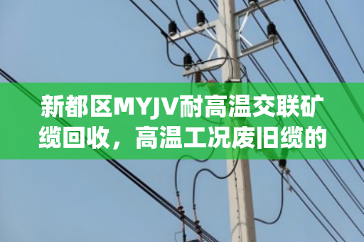 新都区MYJV耐高温交联矿缆回收,高温工况废旧缆的价值再生与泊祎回收专业服务 新都区MYJV耐高温交联矿缆回收,高温工况废旧缆的价值再生与泊祎回收专业服务