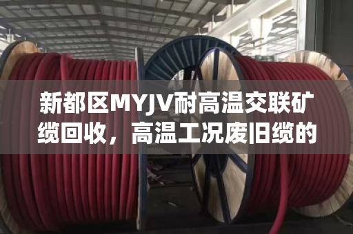 新都区MYJV耐高温交联矿缆回收,高温工况废旧缆的价值再生与泊祎回收专业服务 新都区MYJV耐高温交联矿缆回收,高温工况废旧缆的价值再生与泊祎回收专业服务