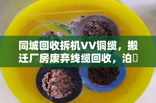 同城回收拆机VV铜缆,搬迁厂房废弃线缆回收,泊祎回收帮你变废为宝 同城回收拆机VV铜缆,搬迁厂房废弃线缆回收,泊祎回收帮你变废为宝
