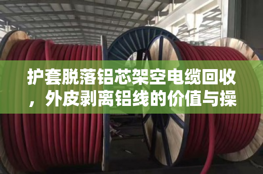 护套脱落铝芯架空电缆回收,外皮剥离铝线的价值与操作全解析 护套脱落铝芯架空电缆回收,外皮剥离铝线的价值与操作全解析
