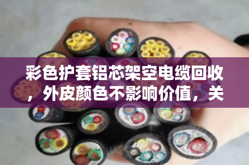 彩色护套铝芯架空电缆回收,外皮颜色不影响价值,关键看出铝率 彩色护套铝芯架空电缆回收,外皮颜色不影响价值,关键看出铝率