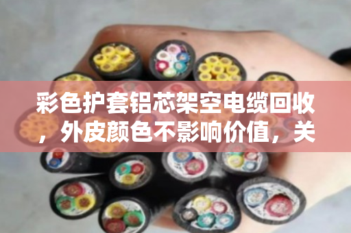 彩色护套铝芯架空电缆回收,外皮颜色不影响价值,关键看出铝率 彩色护套铝芯架空电缆回收,外皮颜色不影响价值,关键看出铝率