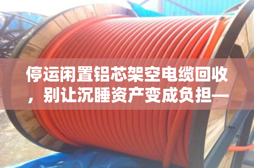 停运闲置铝芯架空电缆回收,别让沉睡资产变成负担—泊祎回收帮您变废为宝 停运闲置铝芯架空电缆回收,别让沉睡资产变成负担—泊祎回收帮您变废为宝