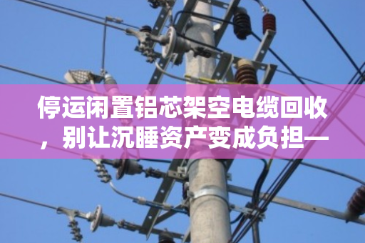 停运闲置铝芯架空电缆回收，别让沉睡资产变成负担—泊祎回收帮您变废为宝