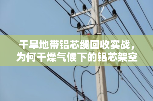 干旱地带铝芯缆回收实战，为何干燥气候下的铝芯架空电缆更值钱？泊祎回收的硬核经验
