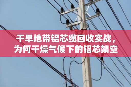 干旱地带铝芯缆回收实战，为何干燥气候下的铝芯架空电缆更值钱？泊祎回收的硬核经验