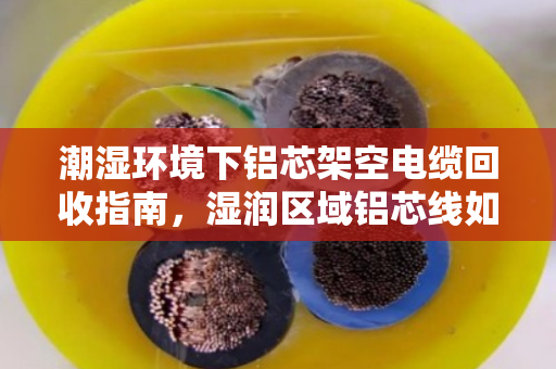 潮湿环境下铝芯架空电缆回收指南，湿润区域铝芯线如何安全高效处理
