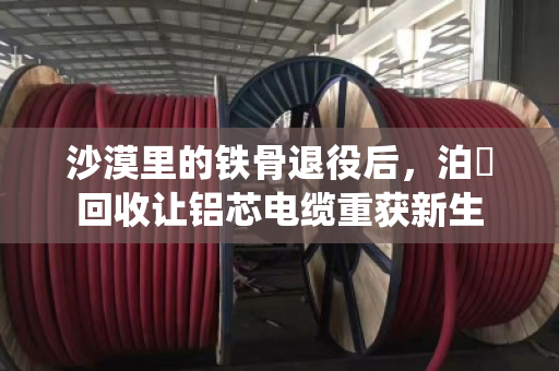 沙漠里的铁骨退役后，泊祎回收让铝芯电缆重获新生