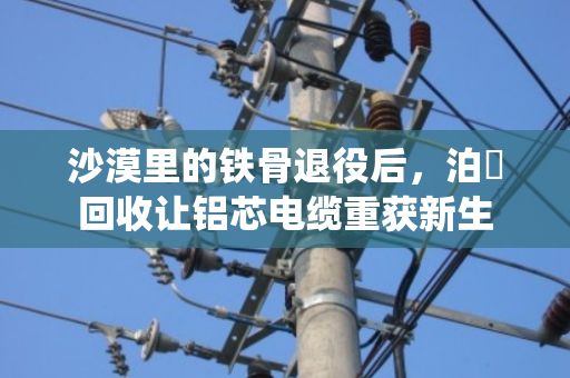 沙漠里的铁骨退役后，泊祎回收让铝芯电缆重获新生