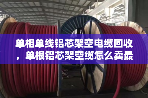单相单线铝芯架空电缆回收,单根铝芯架空缆怎么卖最划算?泊祎回收给你说清楚 单相单线铝芯架空电缆回收,单根铝芯架空缆怎么卖最划算?泊祎回收给你说清楚