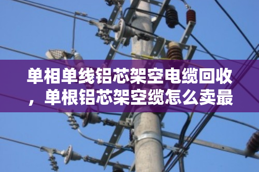 单相单线铝芯架空电缆回收,单根铝芯架空缆怎么卖最划算?泊祎回收给你说清楚 单相单线铝芯架空电缆回收,单根铝芯架空缆怎么卖最划算?泊祎回收给你说清楚