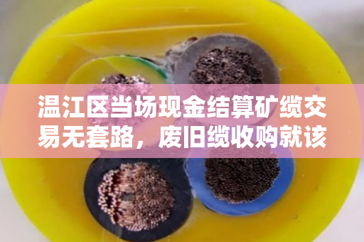 温江区当场现金结算矿缆交易无套路,废旧缆收购就该这么实在 温江区当场现金结算矿缆交易无套路,废旧缆收购就该这么实在