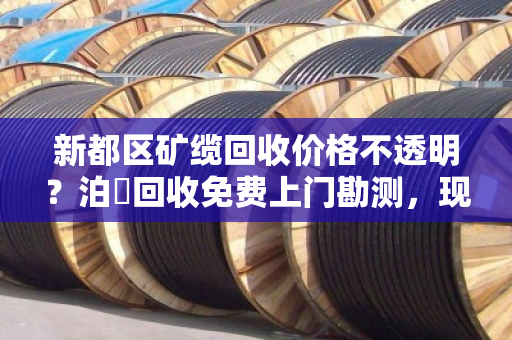 新都区矿缆回收价格不透明?泊祎回收免费上门勘测,现场报价公道又省心 新都区矿缆回收价格不透明?泊祎回收免费上门勘测,现场报价公道又省心
