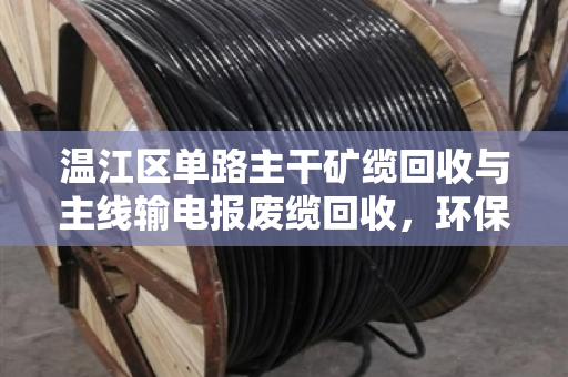 温江区单路主干矿缆回收与主线输电报废缆回收,环保与经济的双赢之道 温江区单路主干矿缆回收与主线输电报废缆回收,环保与经济的双赢之道