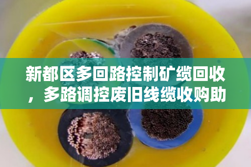 新都区多回路控制矿缆回收,多路调控废旧线缆收购助力资源再生 新都区多回路控制矿缆回收,多路调控废旧线缆收购助力资源再生