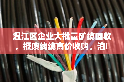 温江区企业大批量矿缆回收,报废线缆高价收购,泊祎回收让废线变金线 温江区企业大批量矿缆回收,报废线缆高价收购,泊祎回收让废线变金线