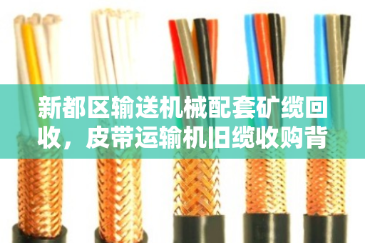 新都区输送机械配套矿缆回收,皮带运输机旧缆收购背后的行业减负之道 新都区输送机械配套矿缆回收,皮带运输机旧缆收购背后的行业减负之道